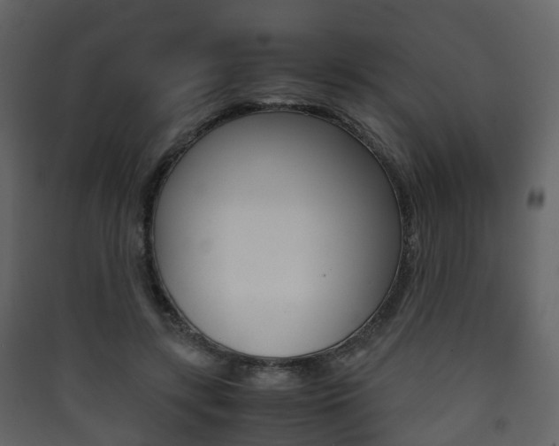 X0000090410547200707130927