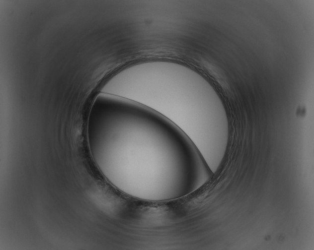 X0000090410548200707130927