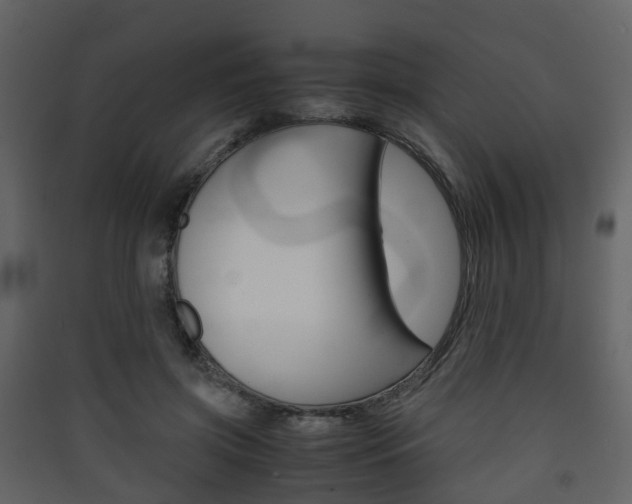 X0000090410549200707130927