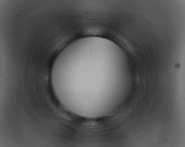 X0000090410551200707130927