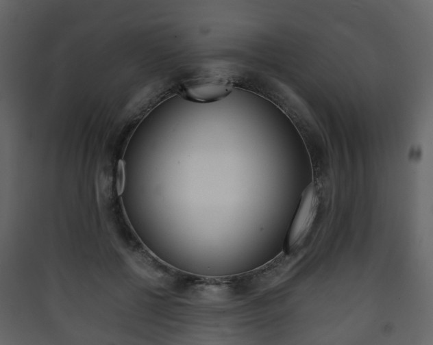 X0000090410552200707130927