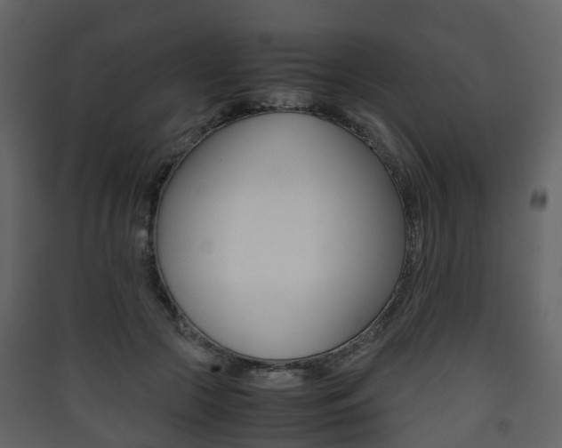 X0000090410553200707130927