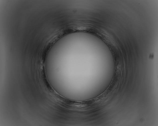 X0000090410555200707130927