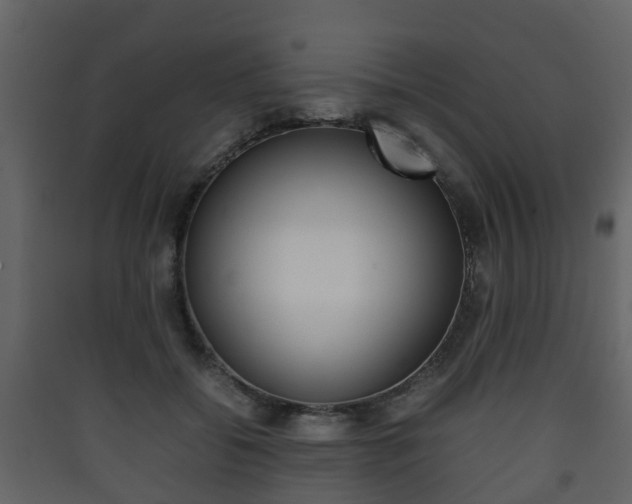 X0000090410556200707130927