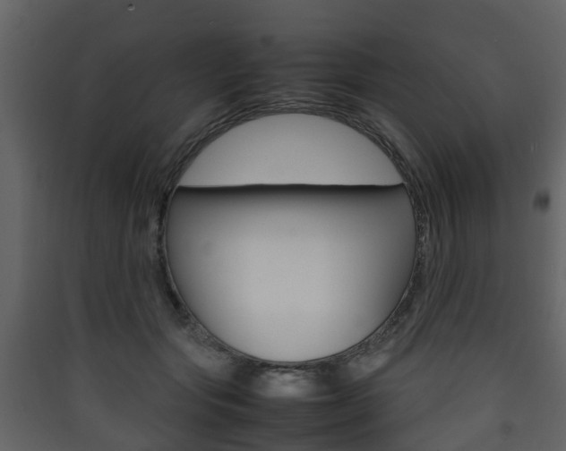 X0000090410557200707130927