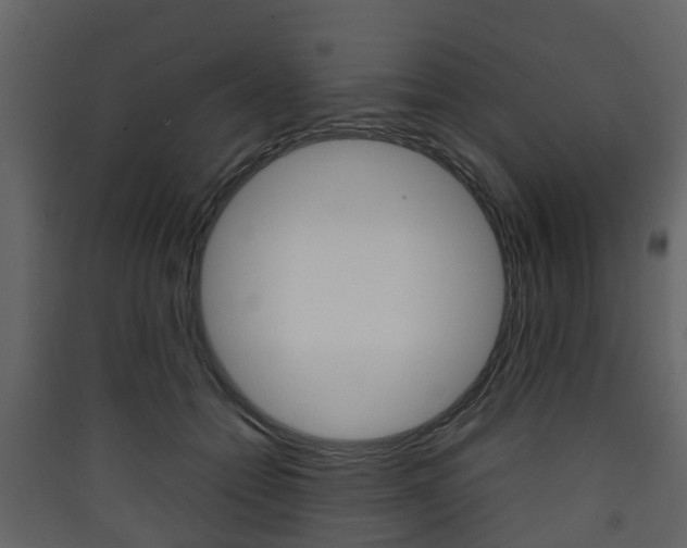 X0000090410558200707130927