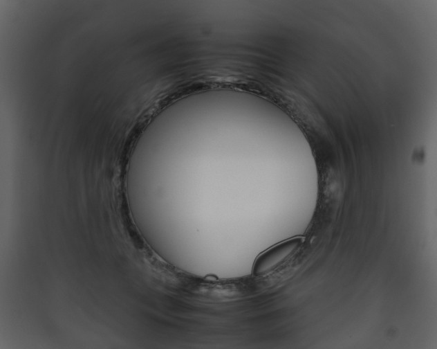 X0000090410559200707130927