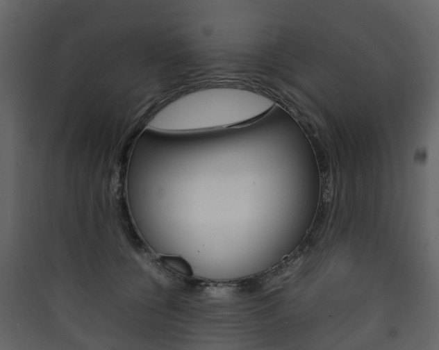 X0000090410560200707130927
