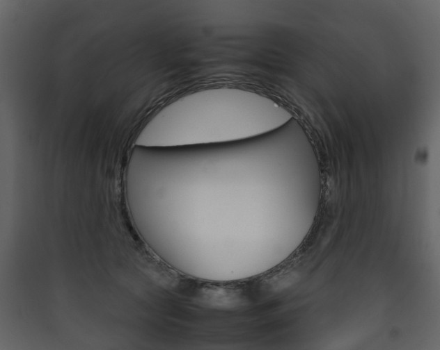 X0000090410561200707130927