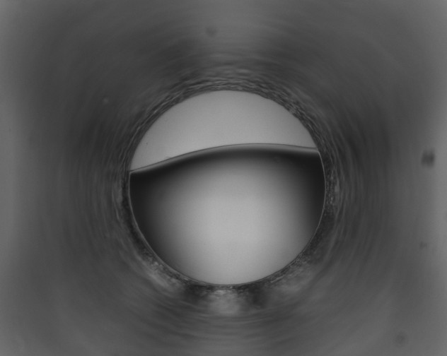 X0000090410562200707130927