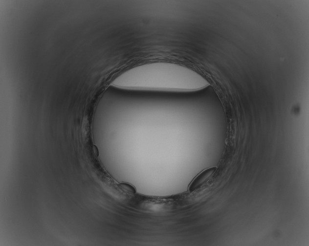 X0000090410563200707130927
