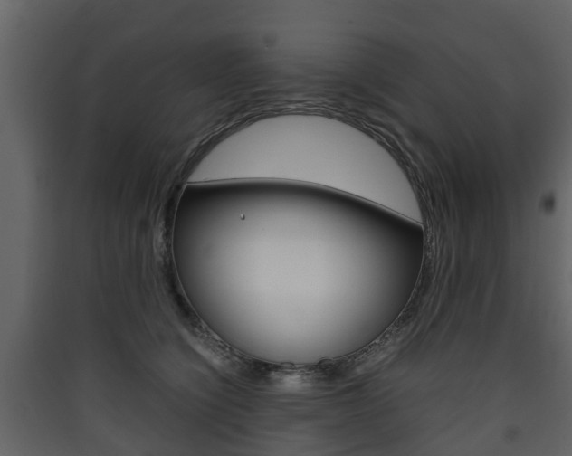 X0000090410564200707130928