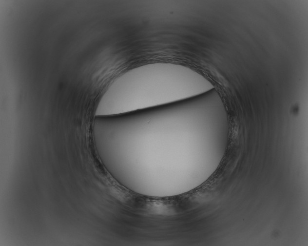 X0000090410565200707130928