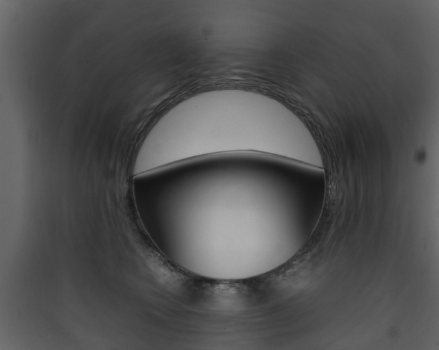 X0000090410566200707130928