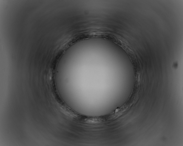 X0000090410567200707130928