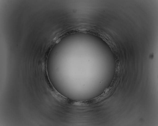 X0000090410568200707130928