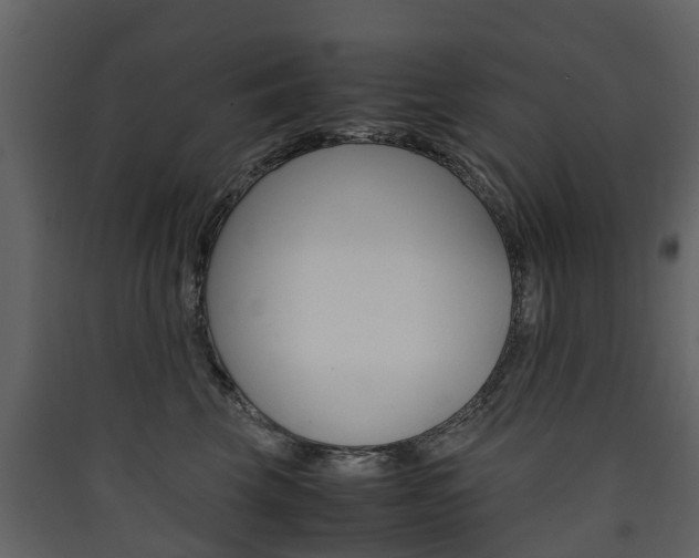 X0000090410569200707130928