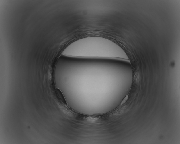 X0000090410570200707130928