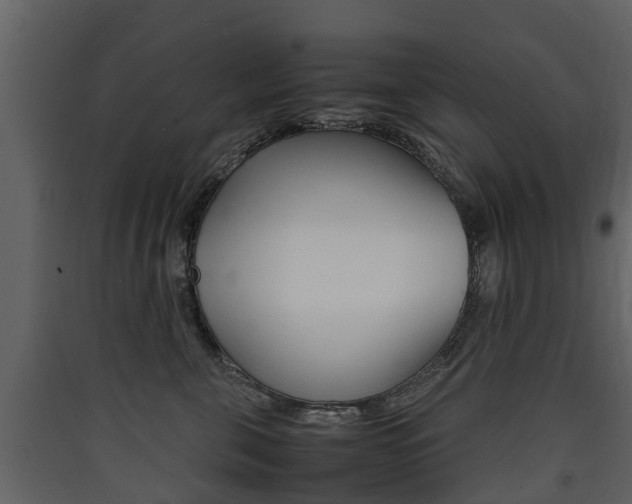 X0000090410571200707130928