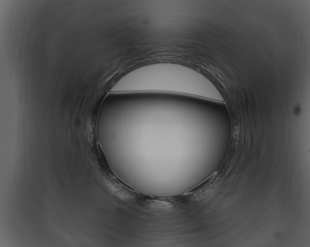 X0000090410572200707130928