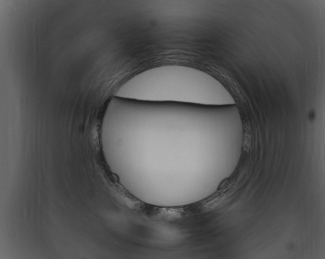 X0000090410573200707130928
