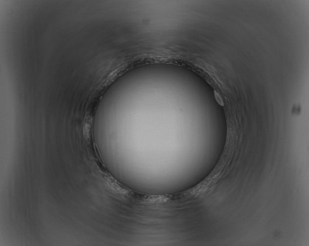 X0000090410576200707130928