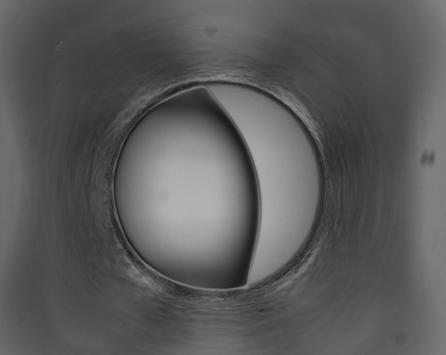 X0000090410577200707130927