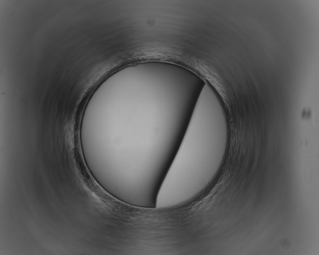 X0000090410578200707130927