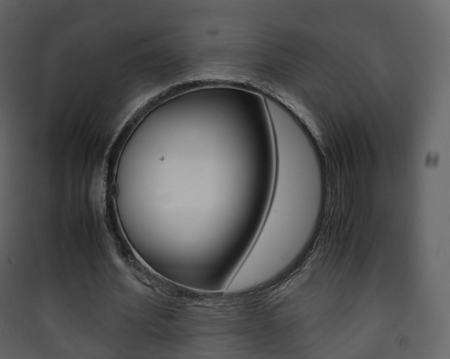 X0000090410580200707130927