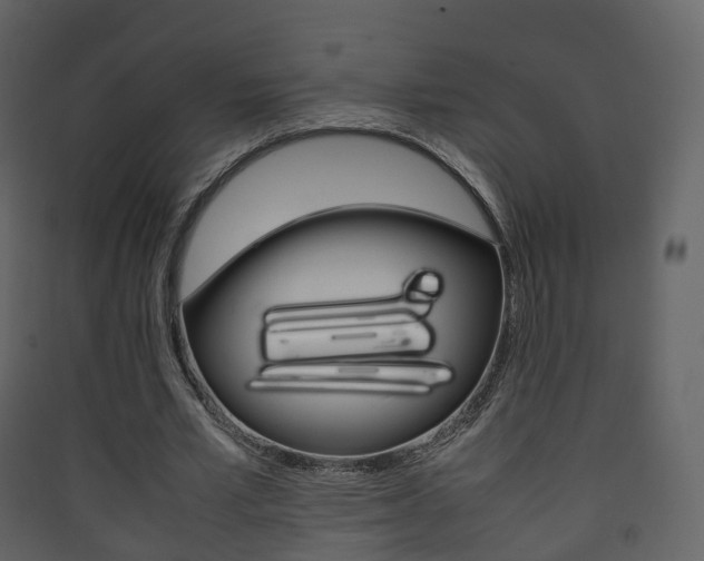 X0000090410581200707130927