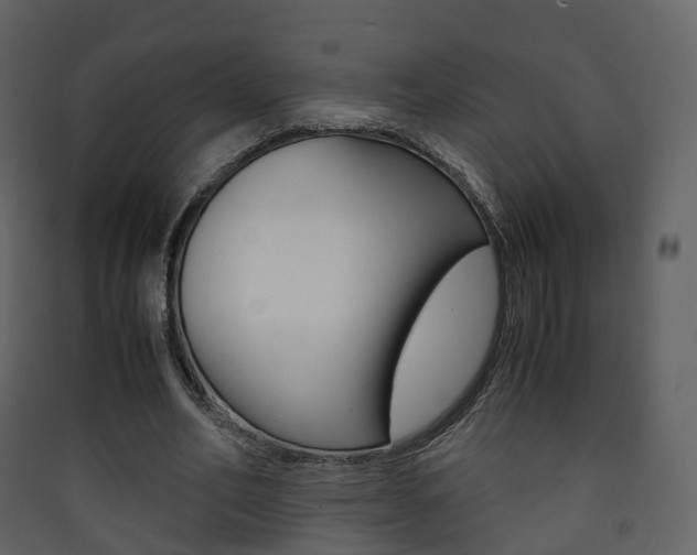 X0000090410582200707130927