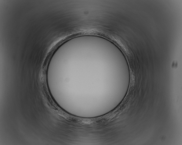 X0000090410583200707130927