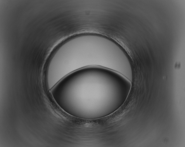 X0000090410584200707130927
