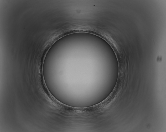 X0000090410585200707130927