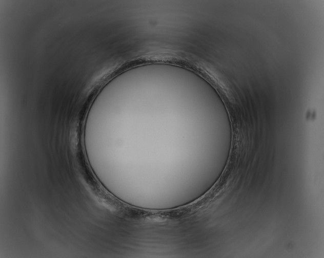 X0000090410586200707130927