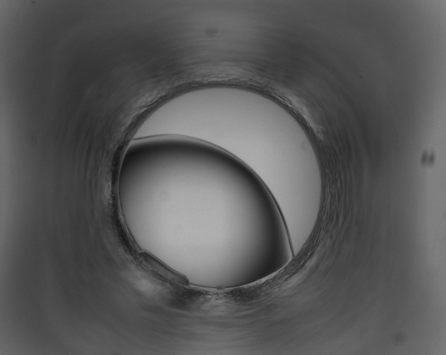 X0000090410589200707130927