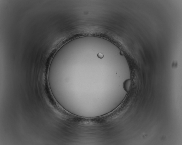 X0000090410590200707130927