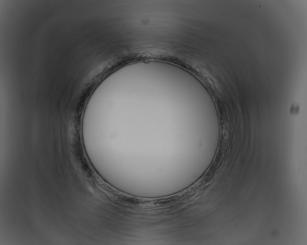 X0000090410591200707130927
