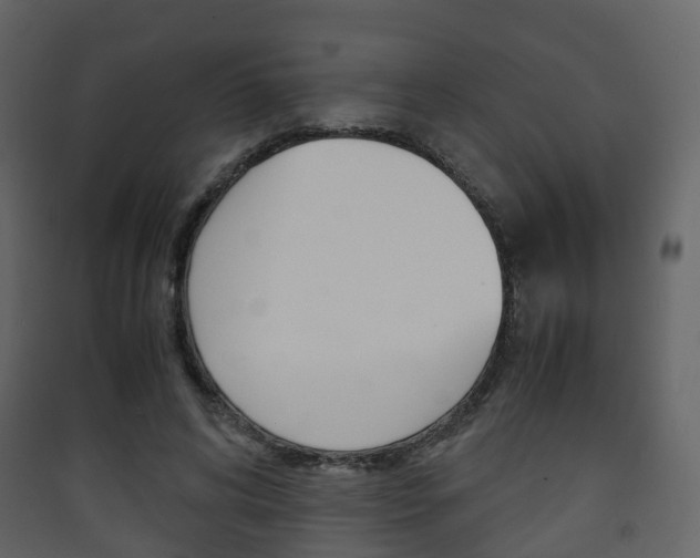 X0000090410592200707130927