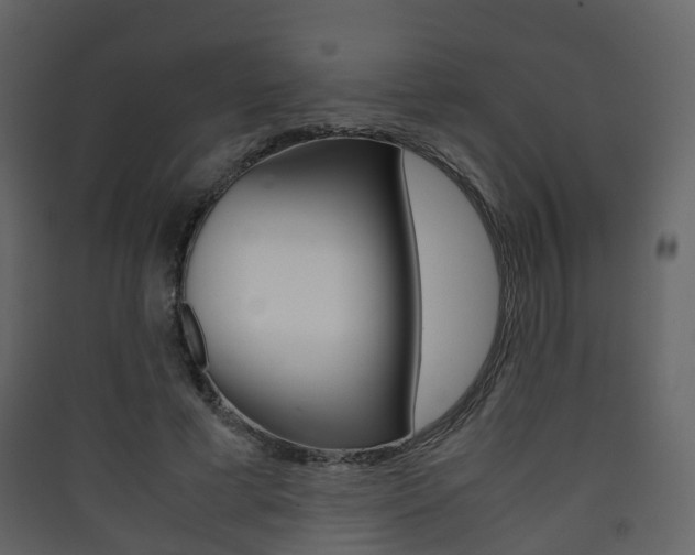 X0000090410593200707130927