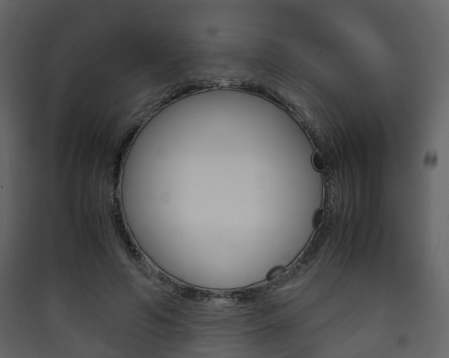X0000090410594200707130927