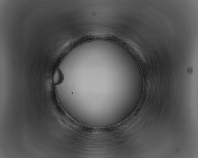 X0000090410596200707130927