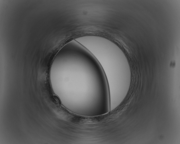 X0000090410597200707130927