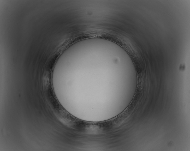 X0000090410598200707130927