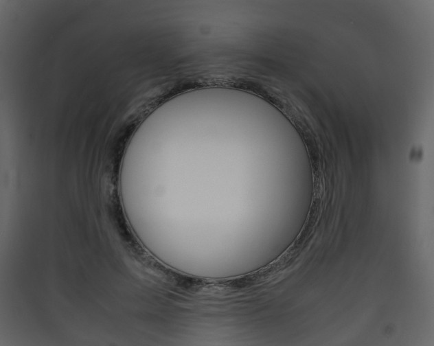 X0000090410599200707130927