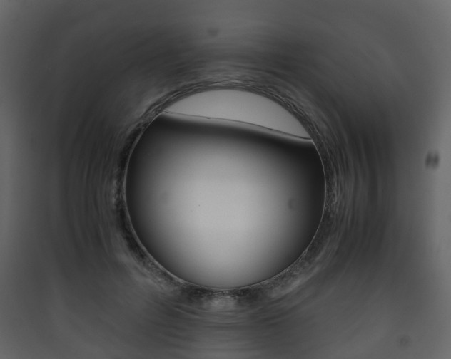 X0000090410600200707130927