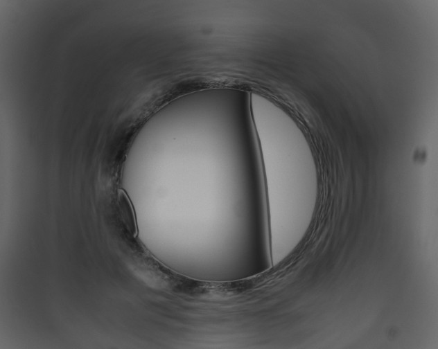 X0000090410601200707130927