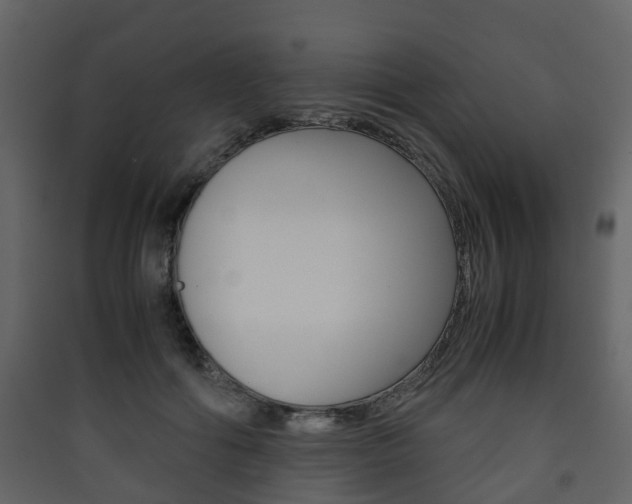 X0000090410602200707130927