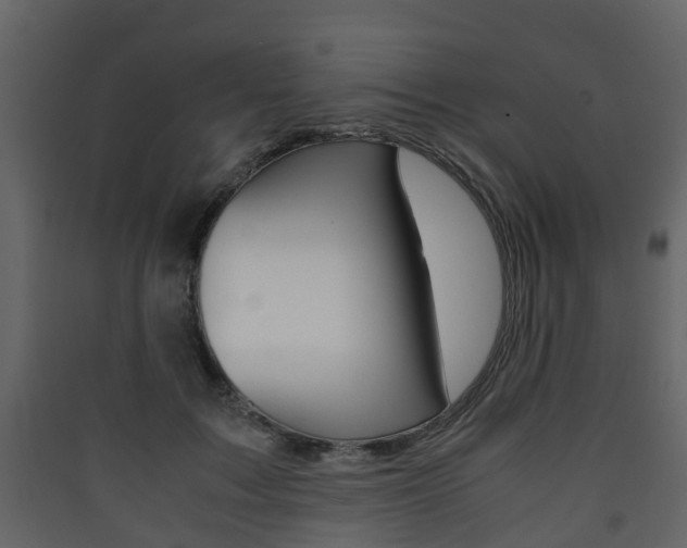X0000090410603200707130927