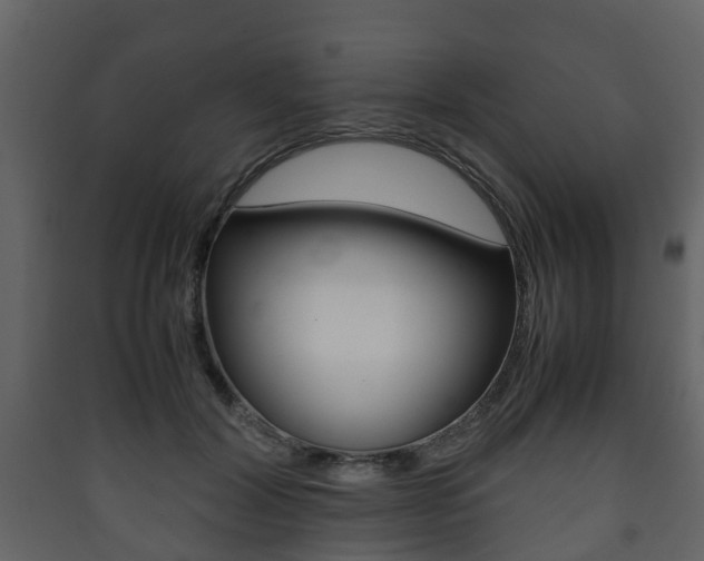 X0000090410604200707130927